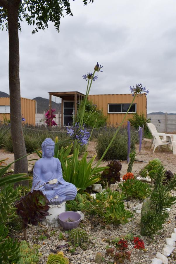 Lavanda Del Valle Vicuña Dış mekan fotoğraf
