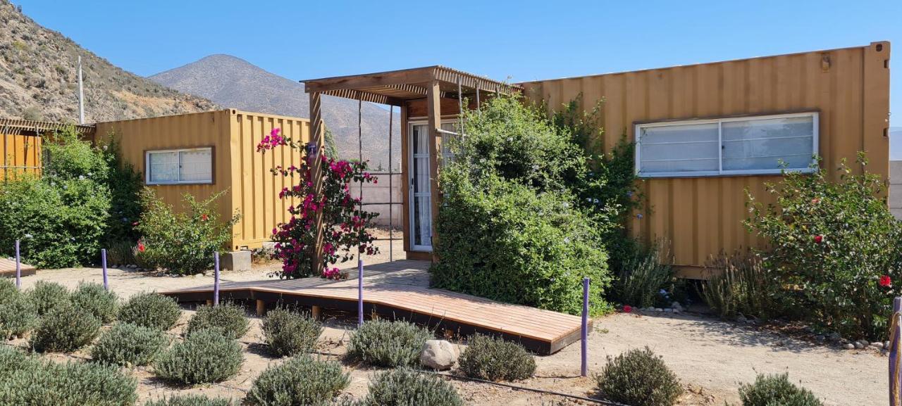 Lavanda Del Valle Vicuña Dış mekan fotoğraf
