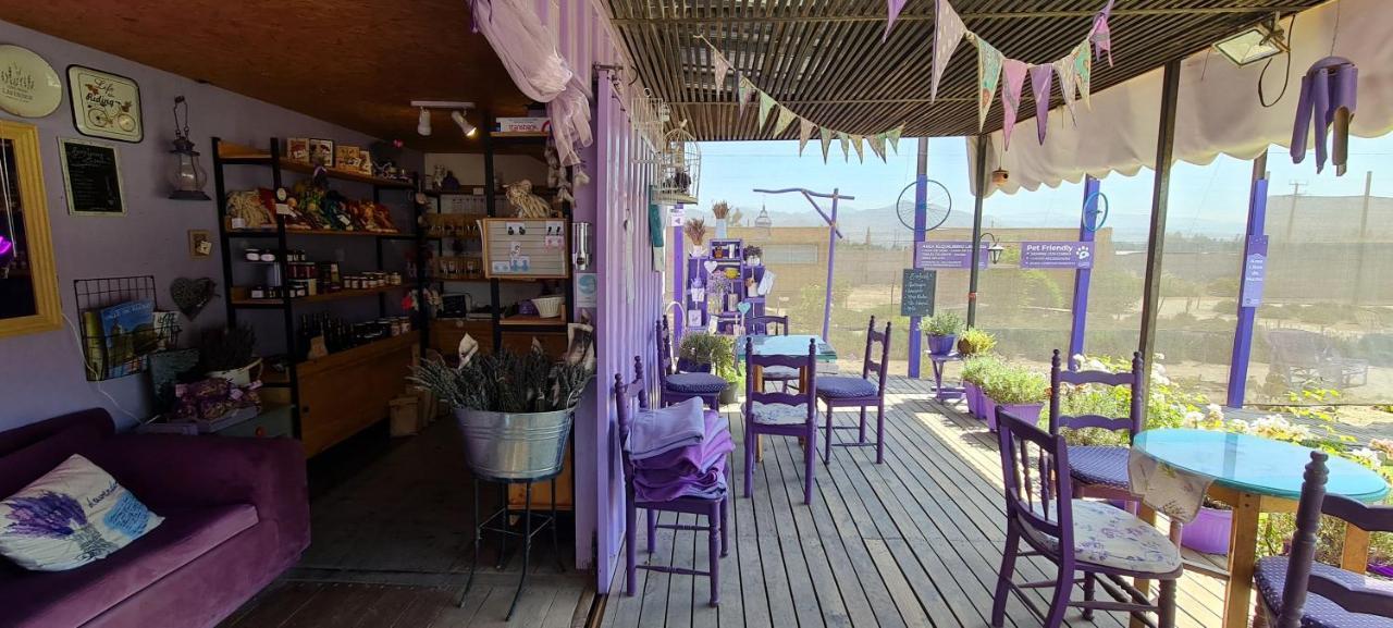 Lavanda Del Valle Vicuña Dış mekan fotoğraf