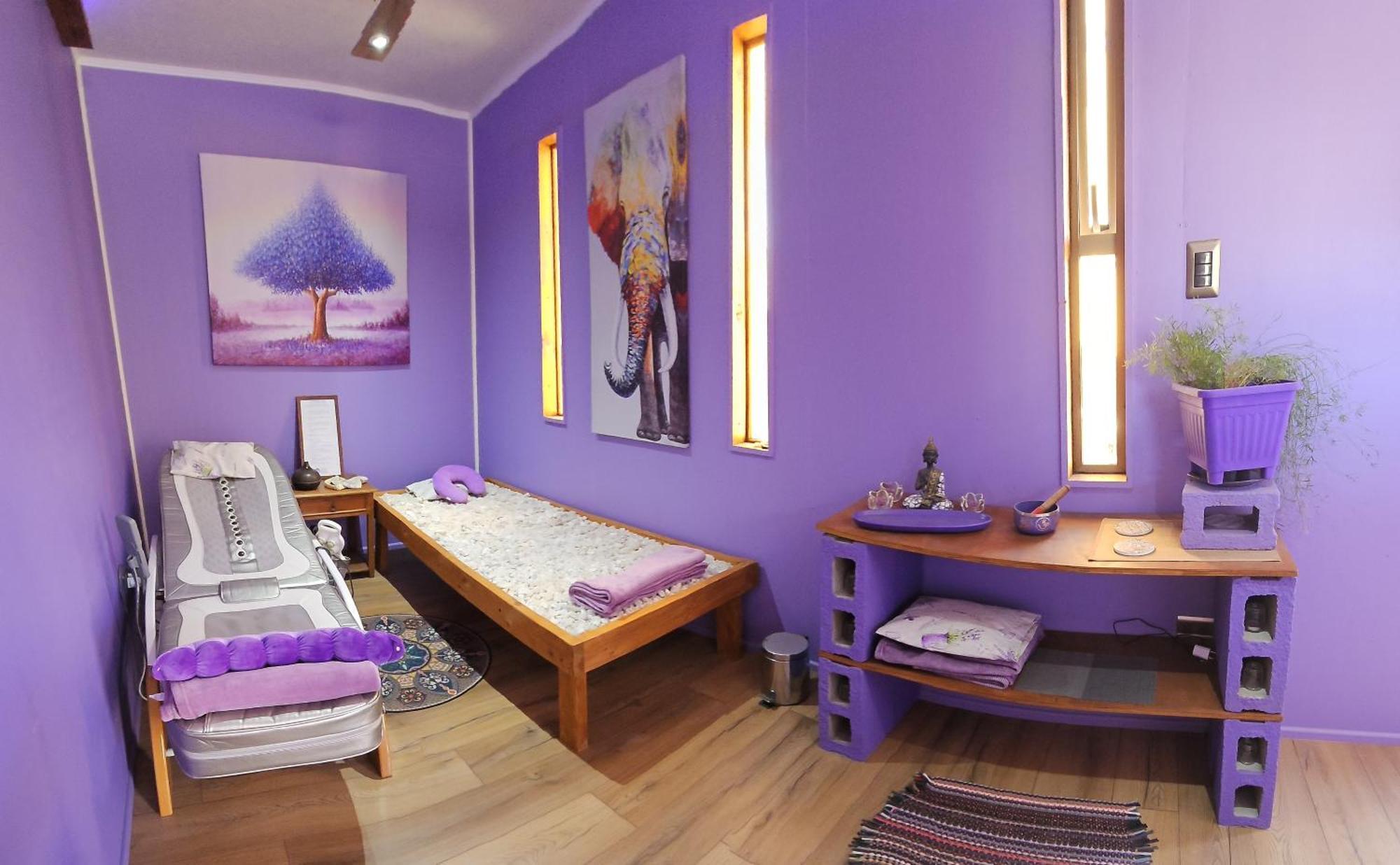 Lavanda Del Valle Vicuña Dış mekan fotoğraf